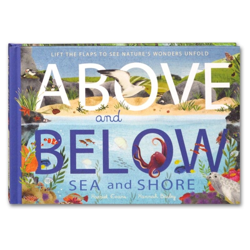 Above and Below Sea and Shore Book (Hardcover) - Lift the Flaps to See Nature's Wonders Unfold