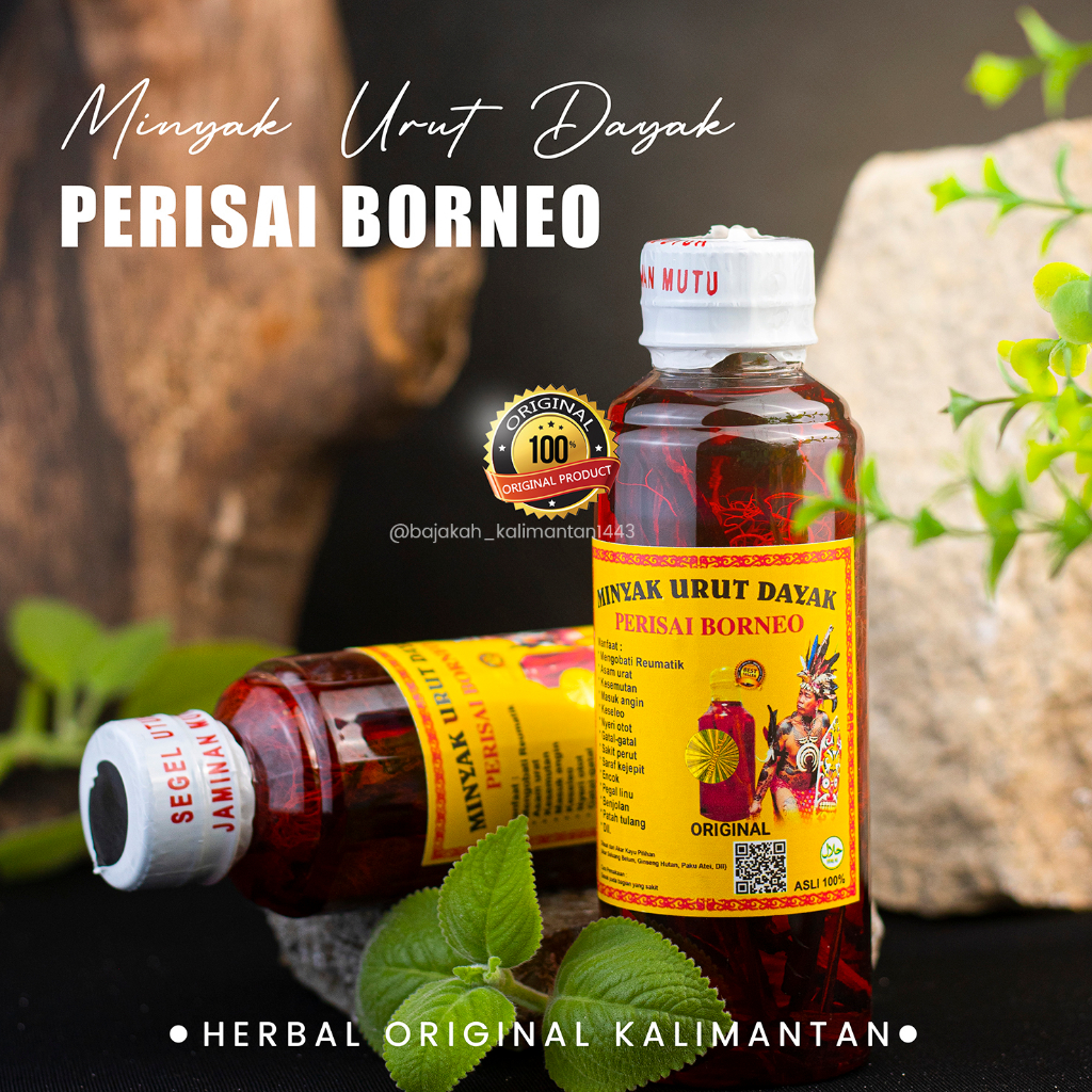 Minyak Urut Dayak Asli Kalimantan 250ml