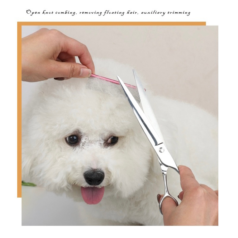 Histopet tail metal comb dual teeth