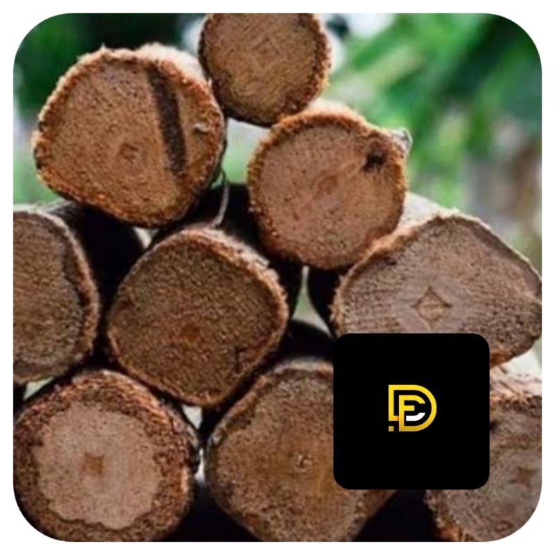 

Akar mahoni akar pohon mahoni segar 1 kg-az