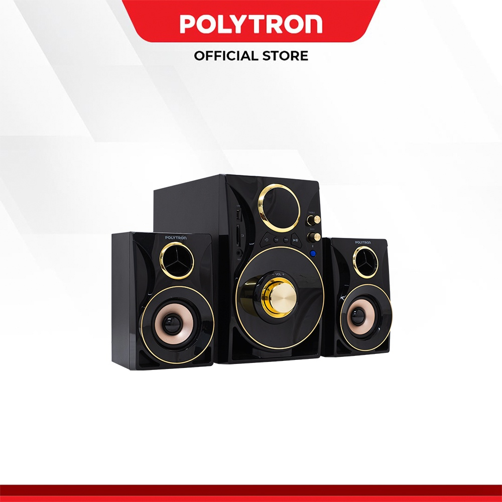 POLYTRON Multimedia Speaker PMA 9310