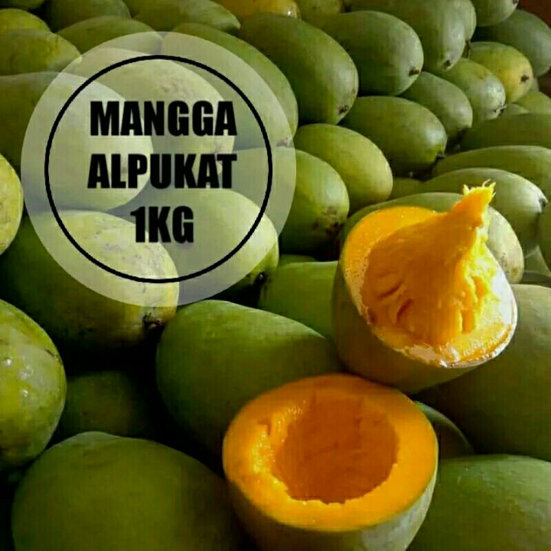 

Mangga Alpukat