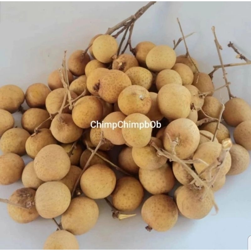 

KLENGKENG SEGAR 500 GRAM / LENGKENG / LONGAN FRESH FRUITS