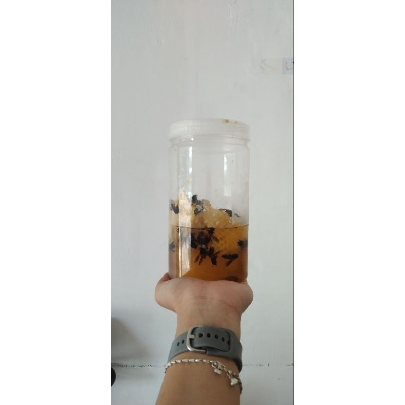 

MADUSARANG_SARANGMADU_APISDORSATA_UNATMADU