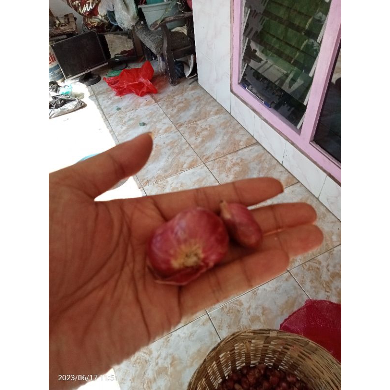 bawang merah asli probolinggo jatim