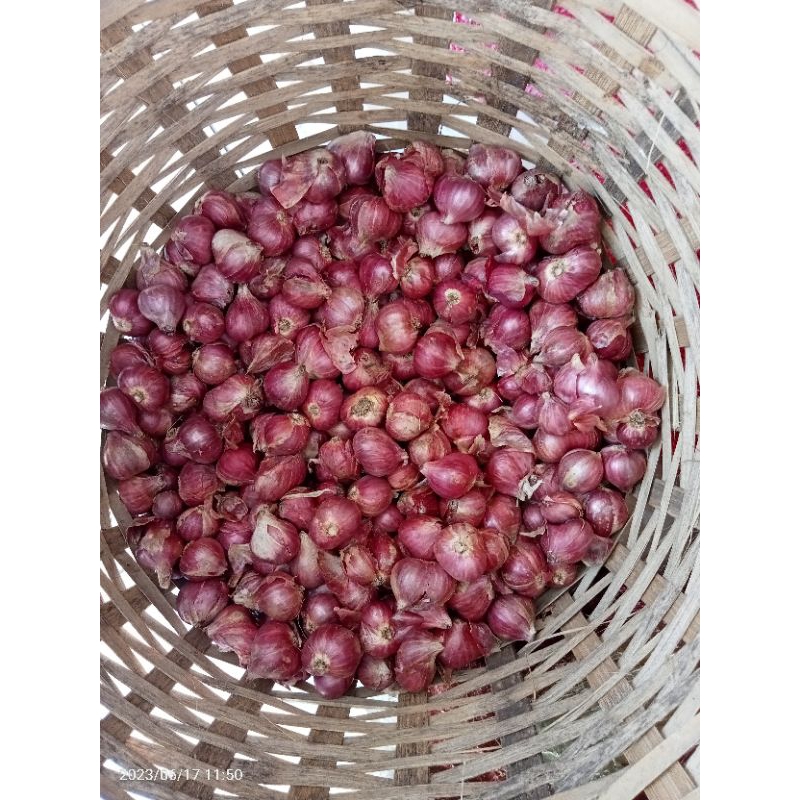 bawang merah asli probolinggo jatim