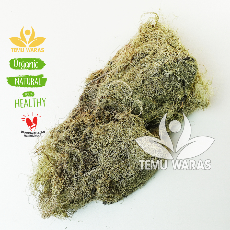 

Akar Angin 500 gr atau Tahi Angin Kering