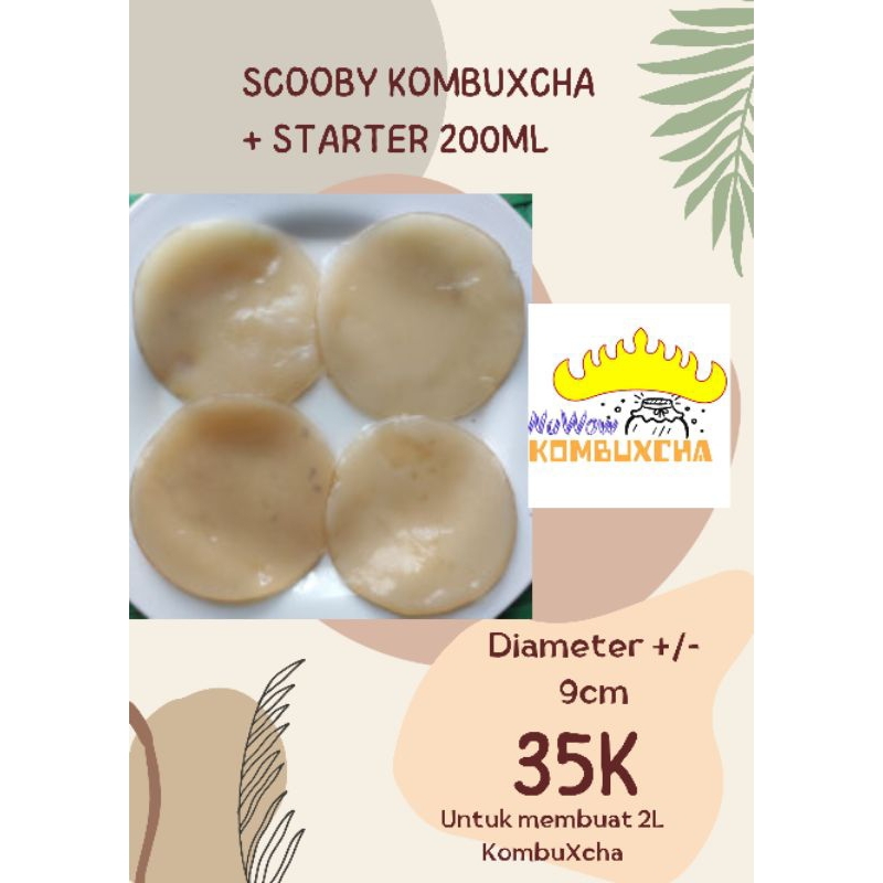 

scooby kombucha dan starter 250ml