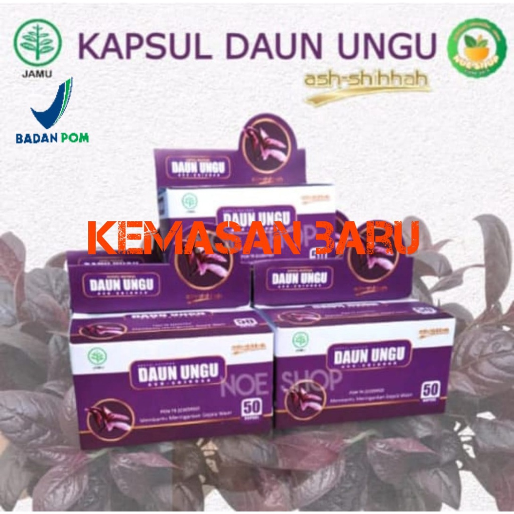 KAPSUL HERBAL DAUN UNGU ASH-SHIHAH ORIGINAL OBAT WASIR / AMBEIEN / AMBEYEN AMPUH