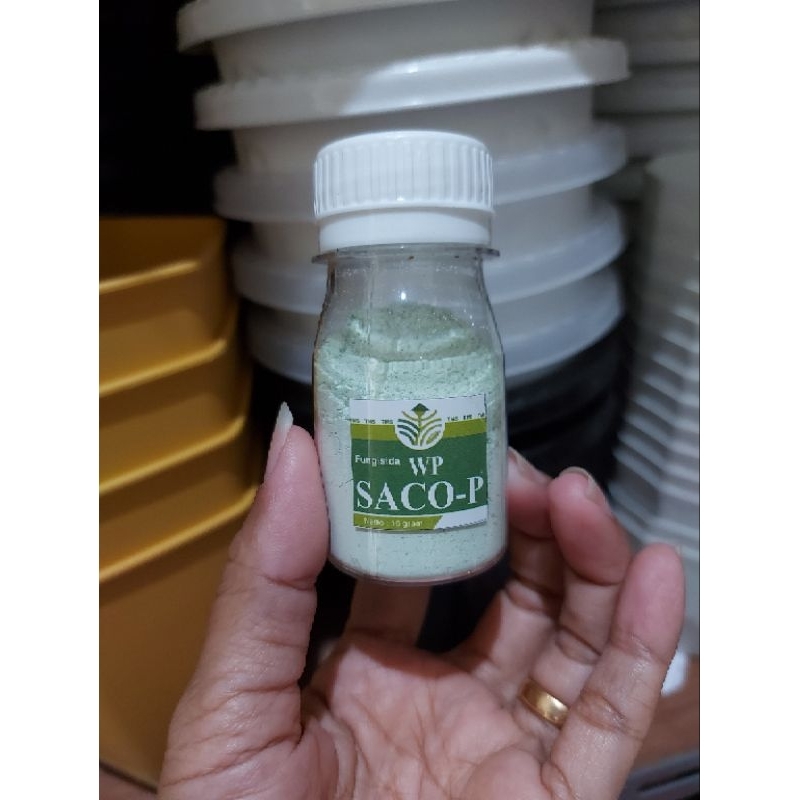 Fungisida SACO -P WP Tricoderma