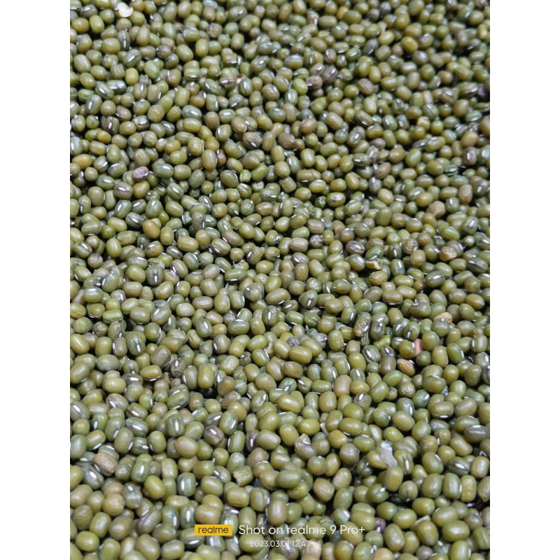 

Kacang Hijau super import / Kacang ijo super mentah 500gr