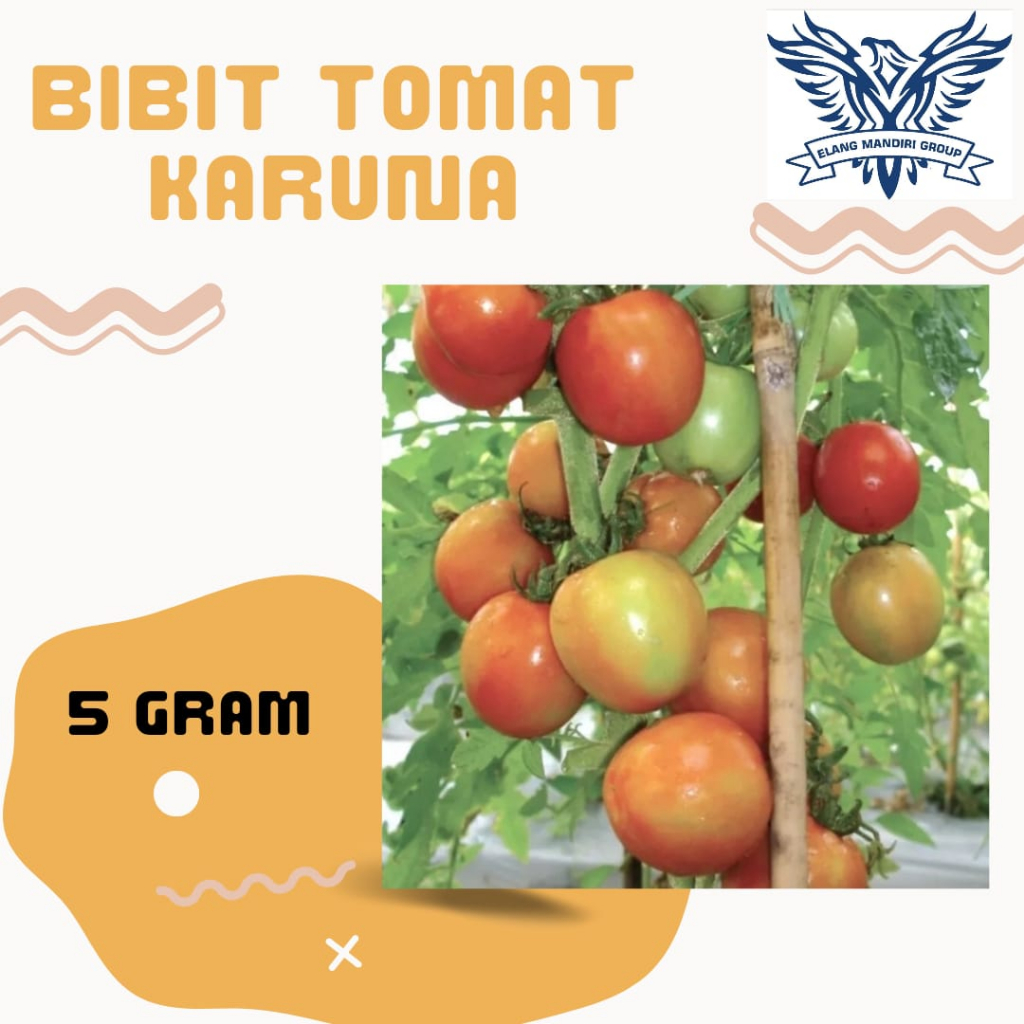 REPACK 5gr Benih Tomat Sayur KARUNA Rasa Manis Bibit Sayuran Servo Marvel