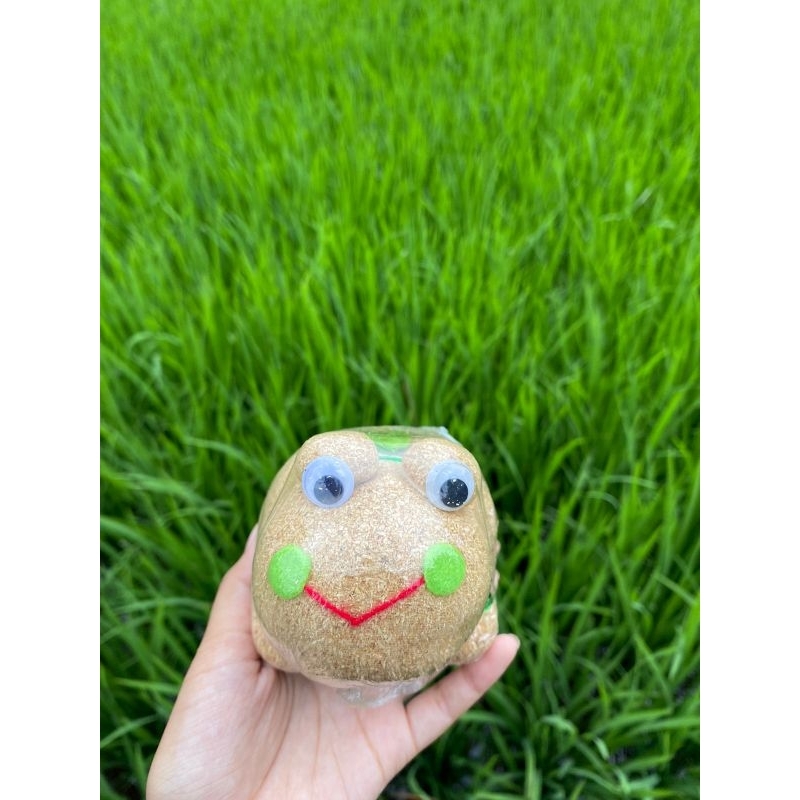 Souvenir Go Green dan mainan edukasi boneka horta kodok mini tumbuh rumput