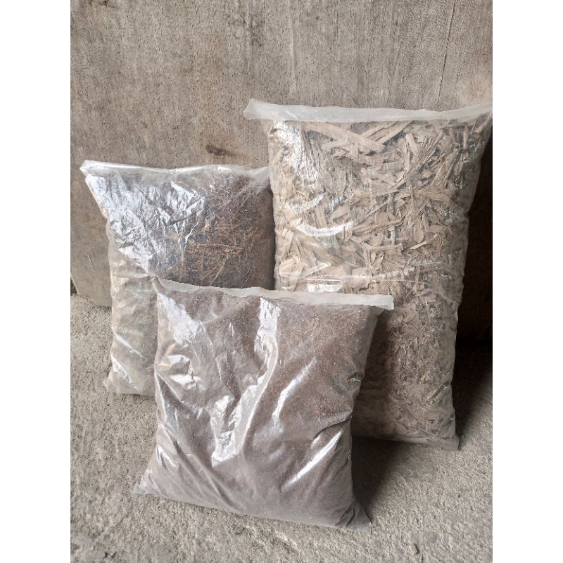 daun bambu kering,akar bambu, humus pohon bambu kering