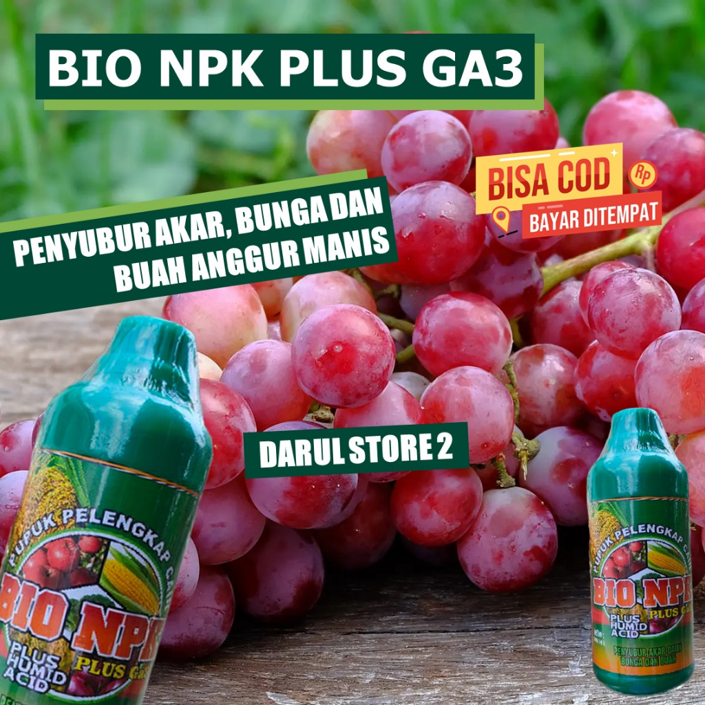 PUPUK NPK CAIR PENYUBUR BUNGA BUAH ANGGUR Cepat Berbuah Besar dan Hasil Panen Lebih Banyak Obat Semp