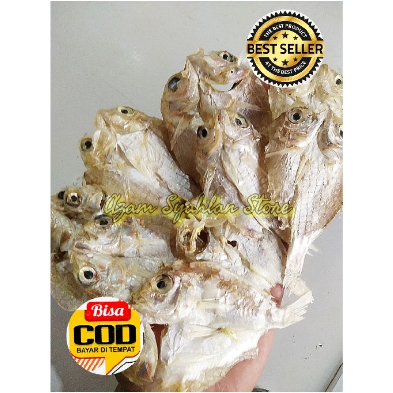 

IKAN SEMI ASIN ABANGAN JEMUR KERING 250GRAM