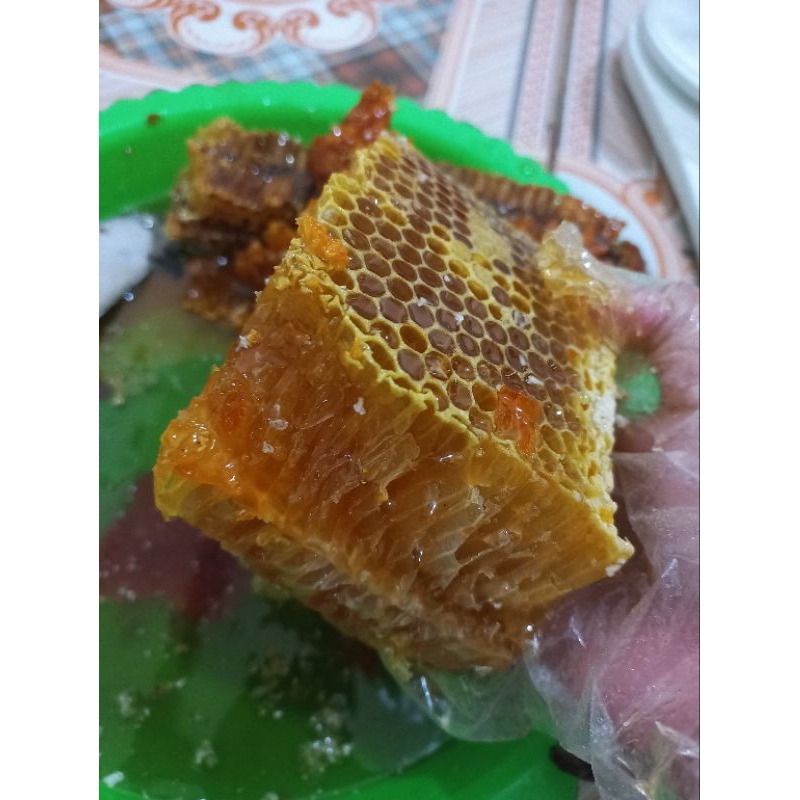 

madu sarang hutan liar asli bukan ternakan/madu murni apisdorsata ukuran 1kg