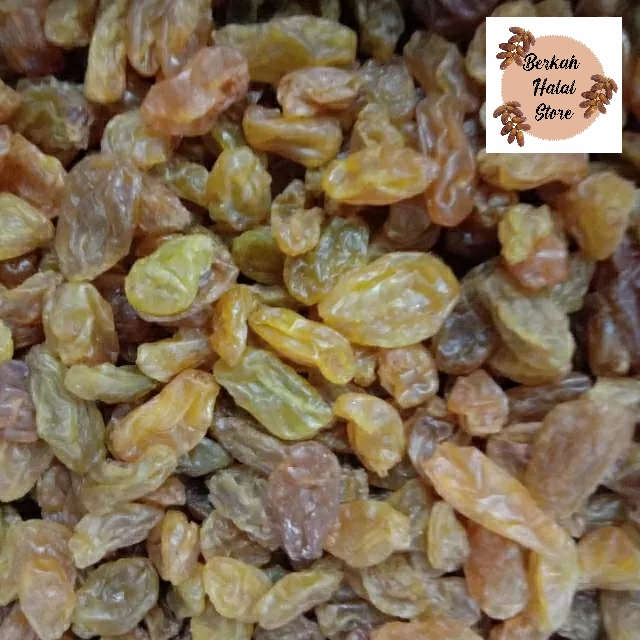

Kismis Golden King Asam Manis Raisins | Oleh Oleh Haji & Umroh | Berat 250gr 500gr 1kg