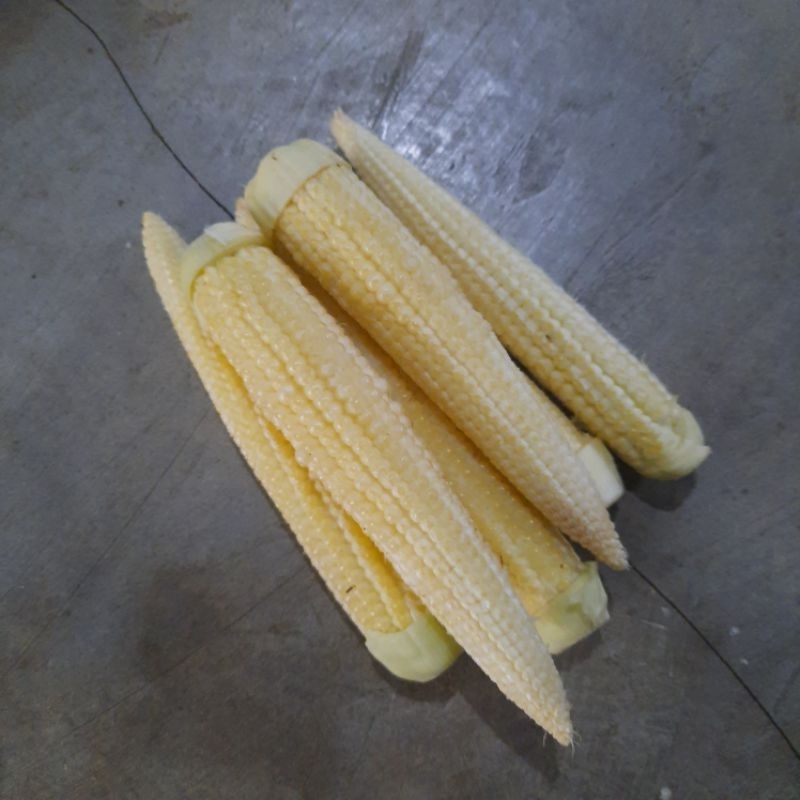 

baby corn 250 gram