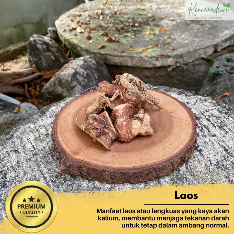 

Laos /Lengkuas asli murni tanpa campuran