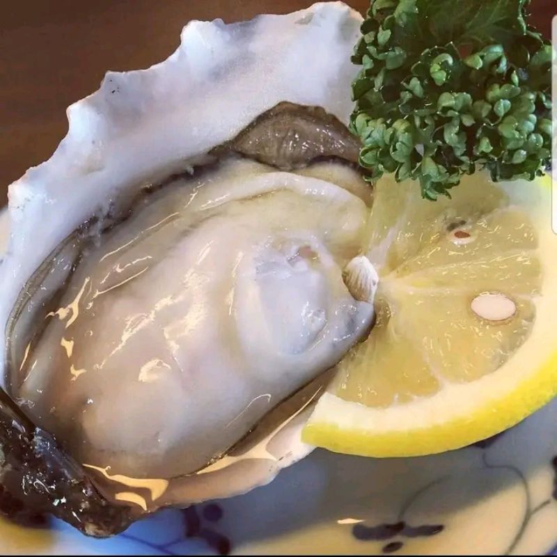 

Daging Kerang Tiram 1kg