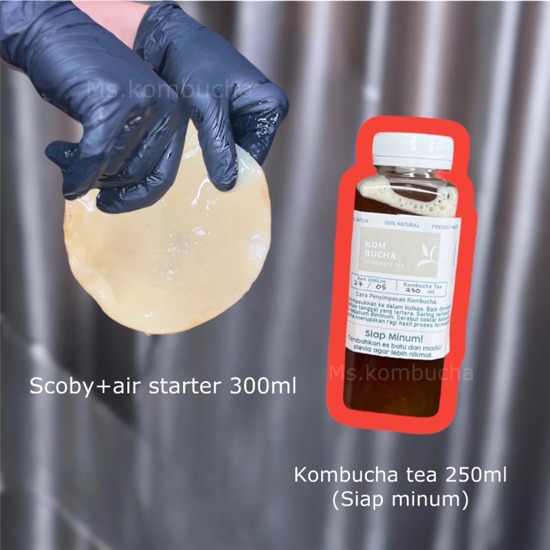 

scoby, air starter 300ml dan kombucha tea 250ml