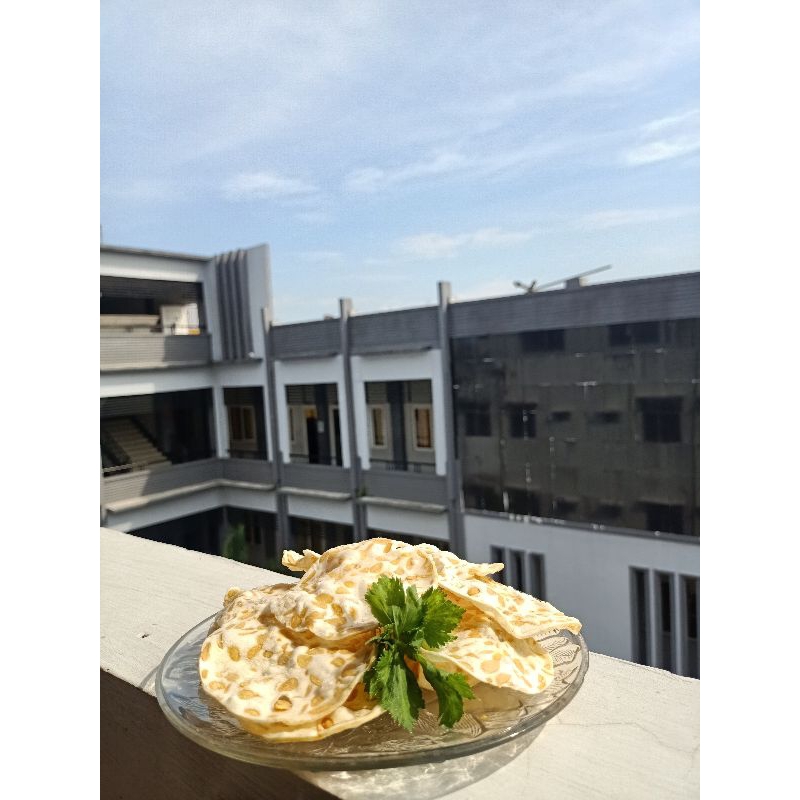 

keripik tempe chips