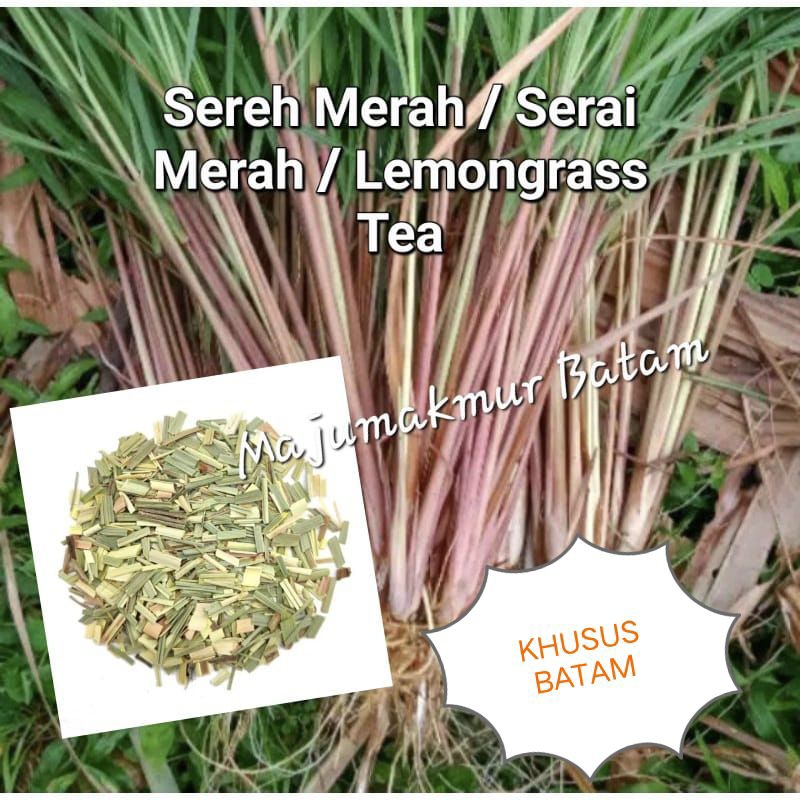 

DAUN KERING SEREH MERAH / SERAI MERAH / LEMONGRASS TEA