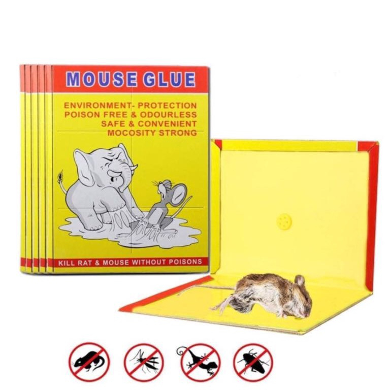 Lem tikus jebakan trap papan buku impor perangkap cap gajah glue board mouse rat /LEM TIKUS ORIGINAL PERANGKAP TIKUS LEM TIKUS GAJAH LEM CICAK