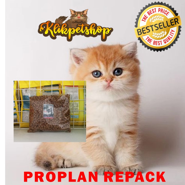 Makanan Kucing Kering Proplan Adult Salmon Repack 500 gram Cat Food