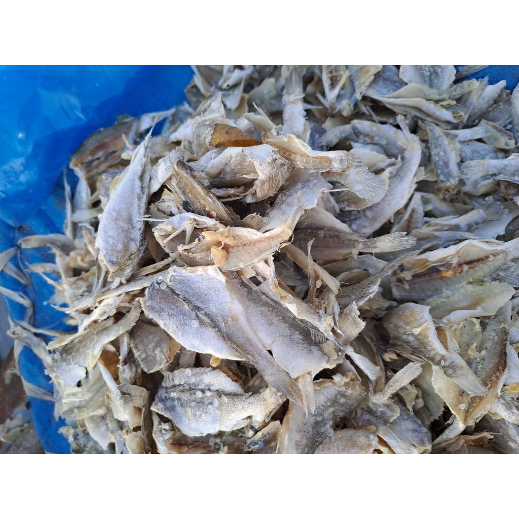 

ikan asin