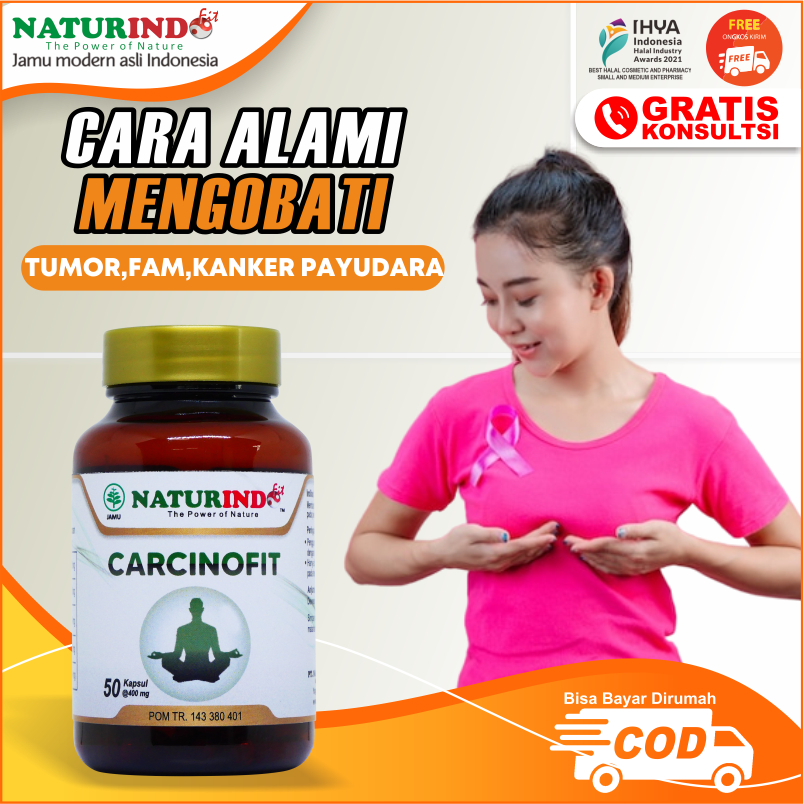 OBAT BENJOLAN PAYUDARA TUMOR PAYUDARA KANKER PAYUDARA PRIA DAN WANITA FAM HERBAL CARCINOFIT NATURIND