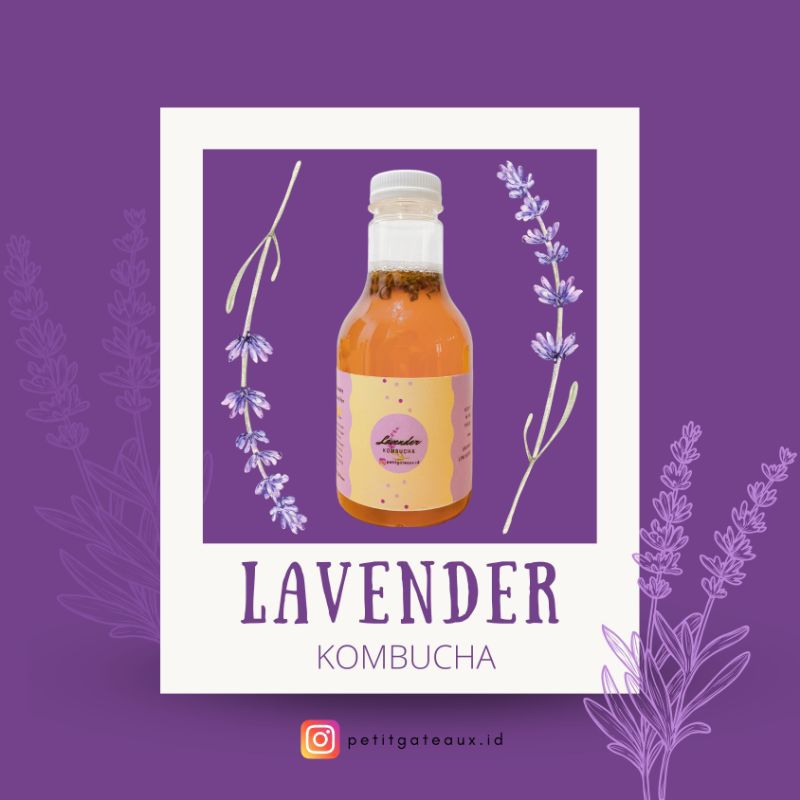 

lavender Kombucha @250ml × 3 botol || by Petit Gâteaux