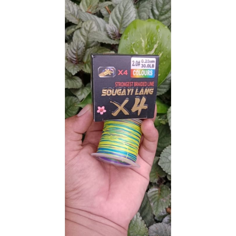 Pe Sougayilang Panjang 100m