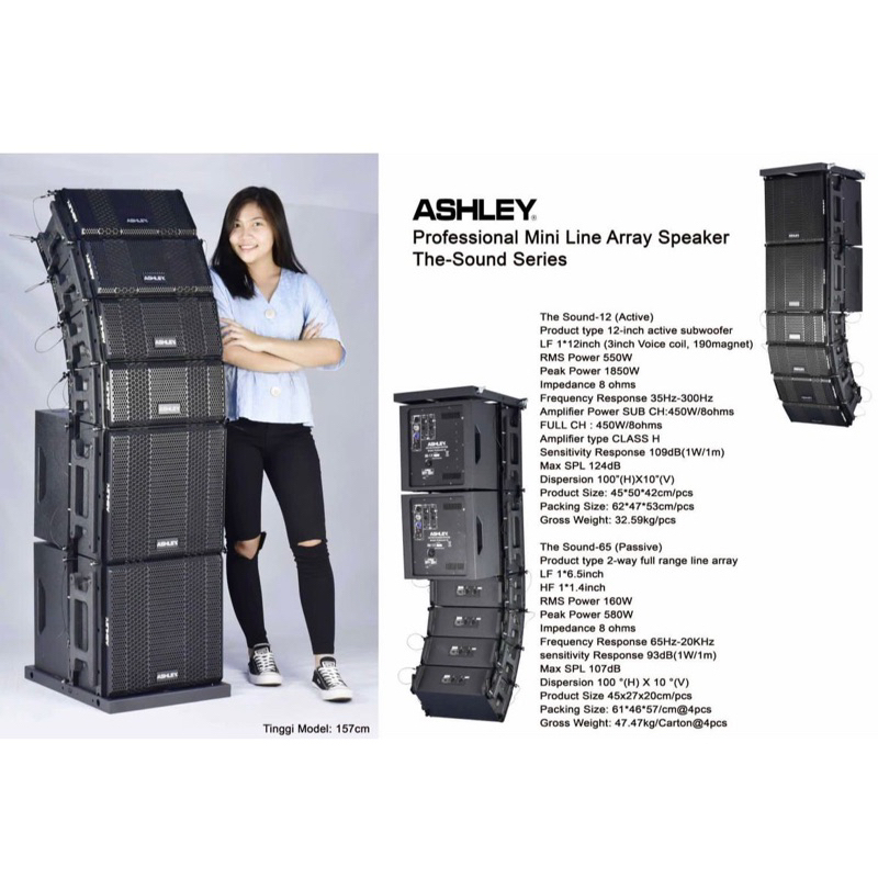 Paket Line Array Ashley The Sound Series 6.5 inch Sub 12 inch Aktif