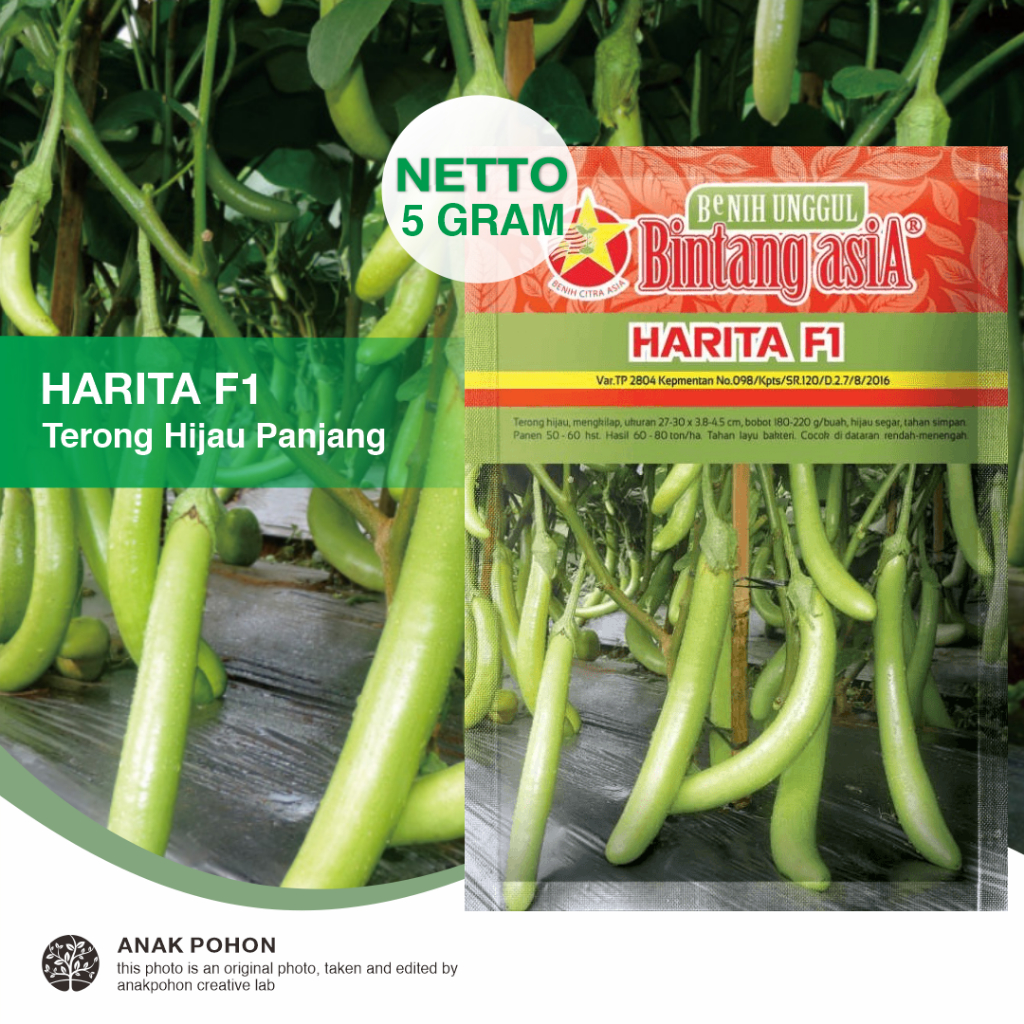 (1 PACK) Benih Terong Hijau Panjang HARITA F1 Hibrida Seeds - Bintang Asia - 5 GRAM