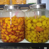 

Kedondong Basah Per 100gr