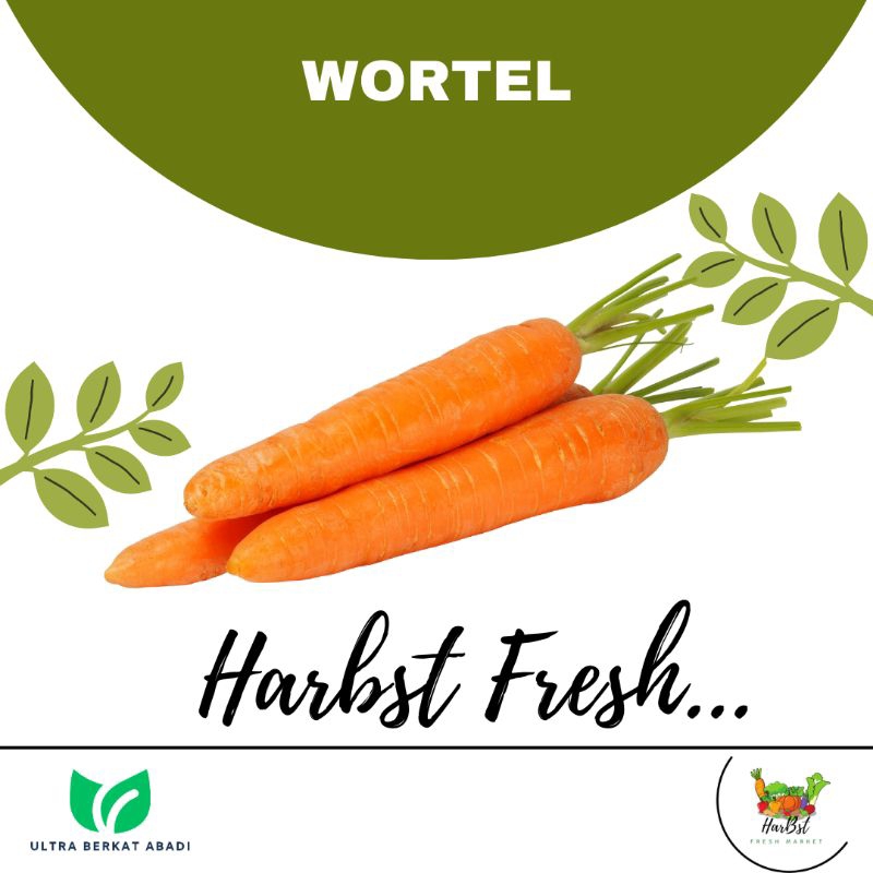

Wortel super Bandung