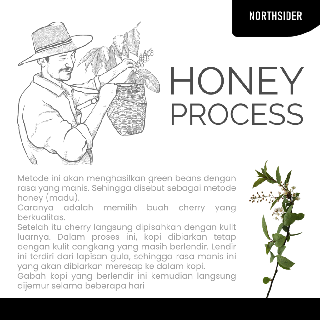 BIJI KOPI ARABIKA GUNUNG HALU HONEY - 200GR NORTHSIDER COFFEE