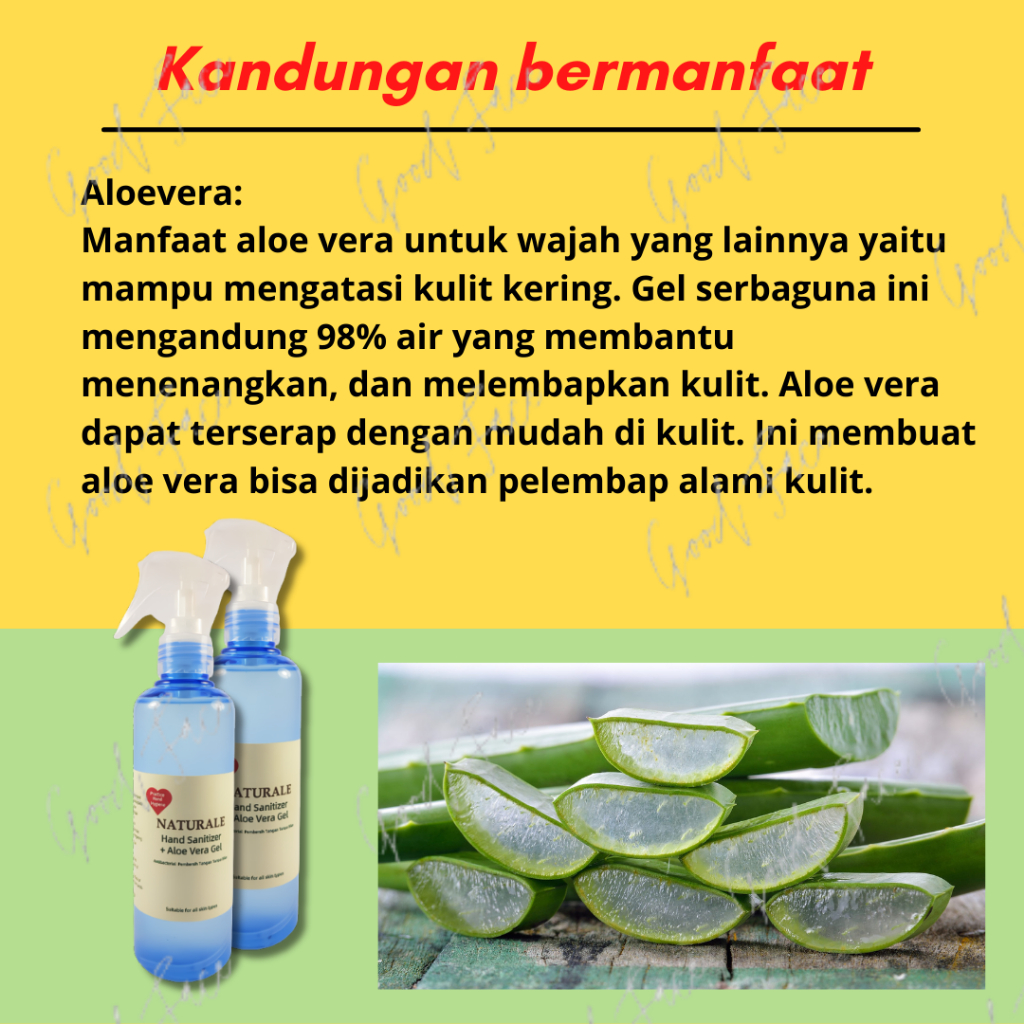 Hand Sanitizer + Aloe Vera Gel 250 ml