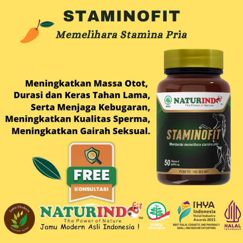 Obat Kuat Herbal Pria Tahan Lama Alami STAMINOFIT Naturindo