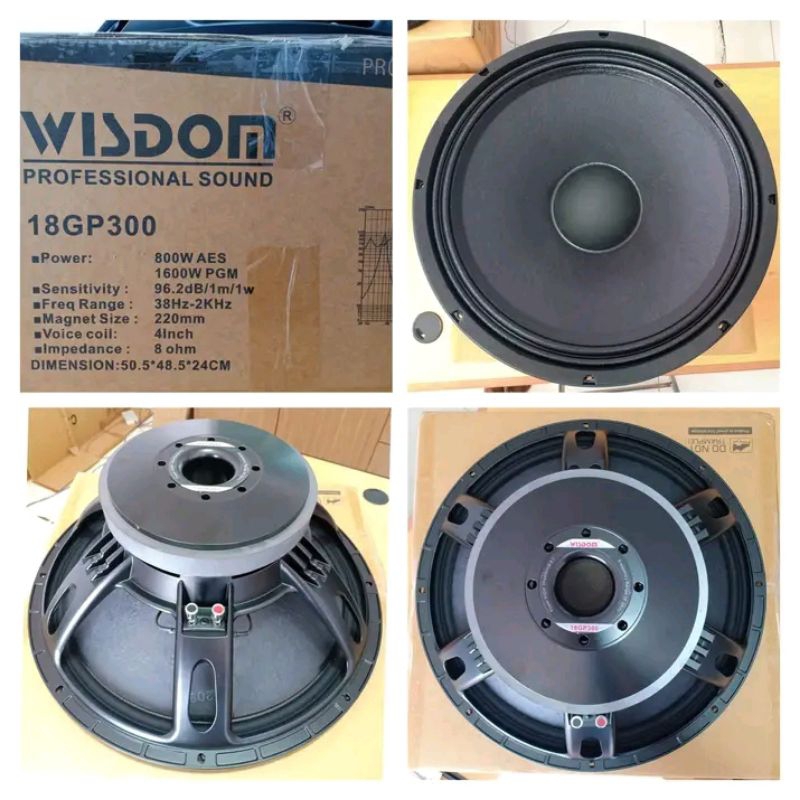 SPEAKER WISDOM 18GP300