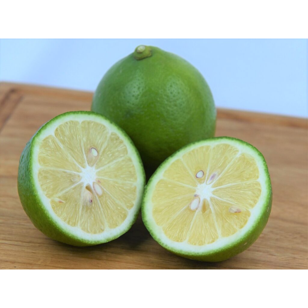 

Jeruk Lemon California 1kg termurah