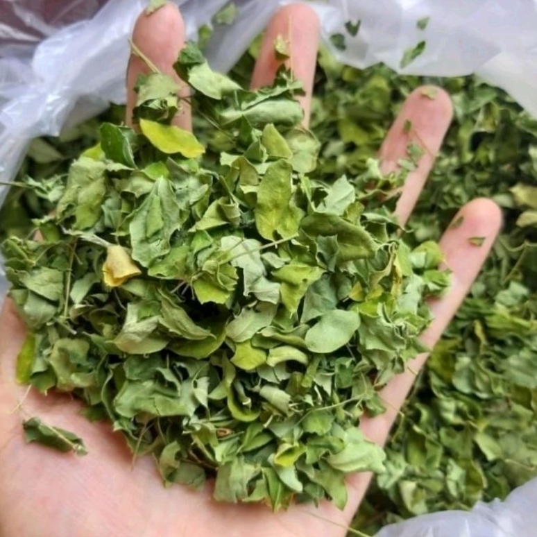 

Daun Kelor Kering Murah Meriah 1kg Penuh Manfaat Murah Meriah