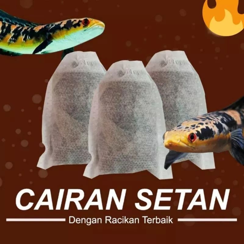 cairan setan / cairan treatmen chana maru / chana asiatica/red barito