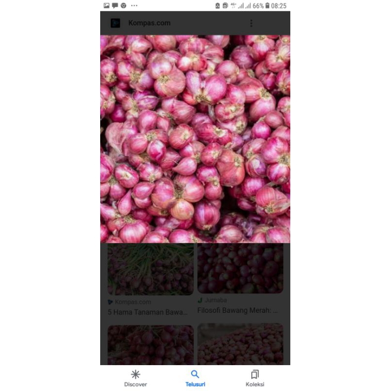 

bawang Merah 250g