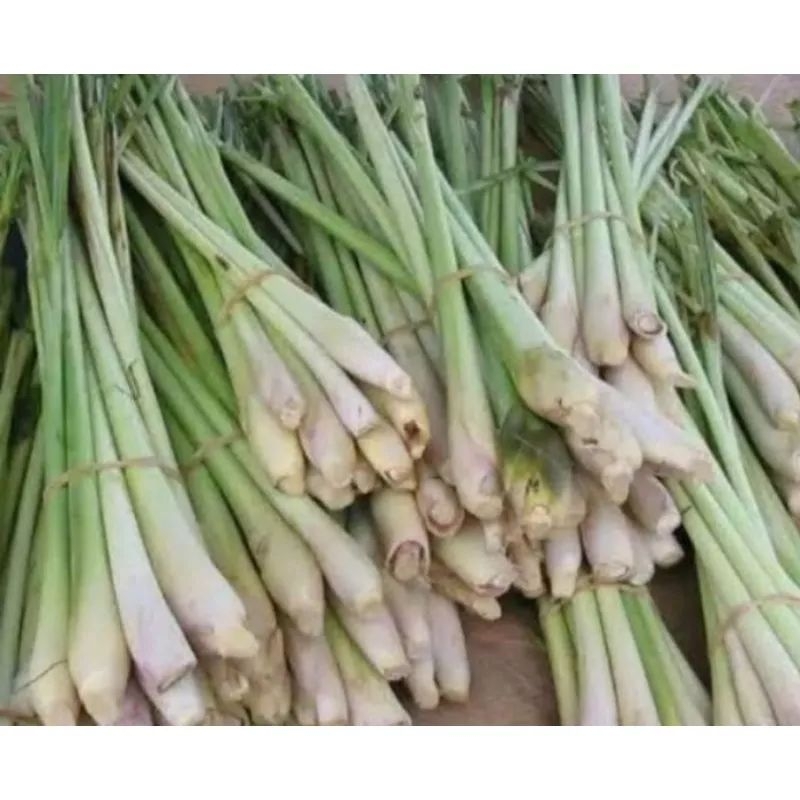 

Serai/sereh bumbu masak