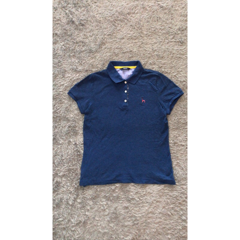 hazzys kaos polo