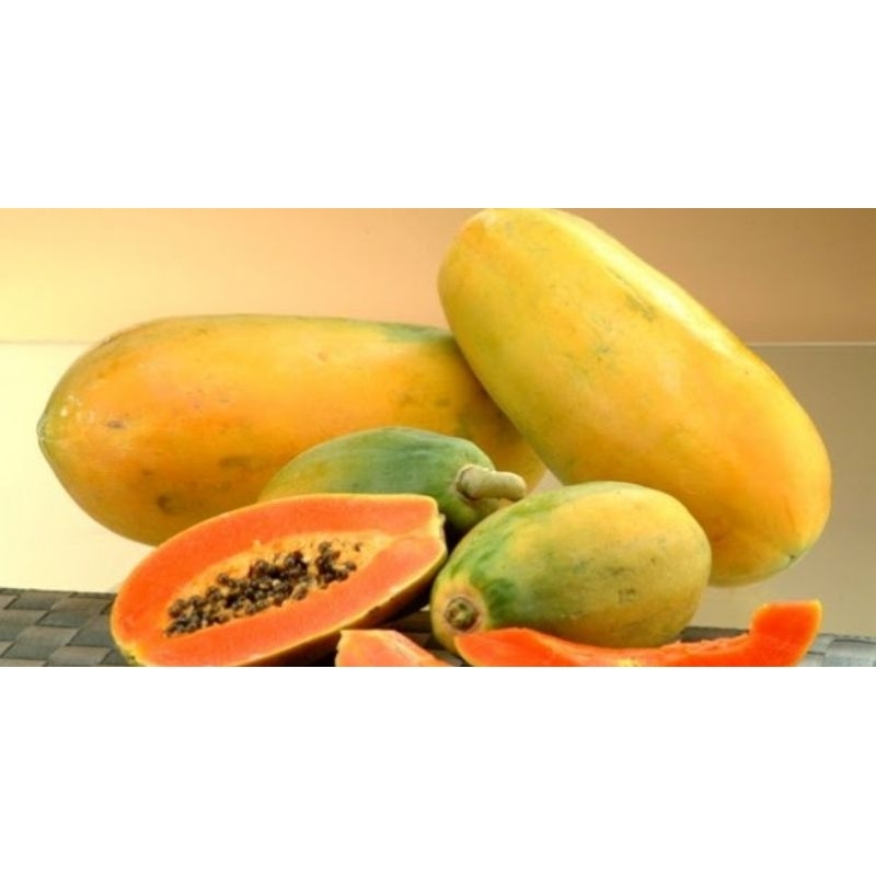 

Pepaya California 1 buah