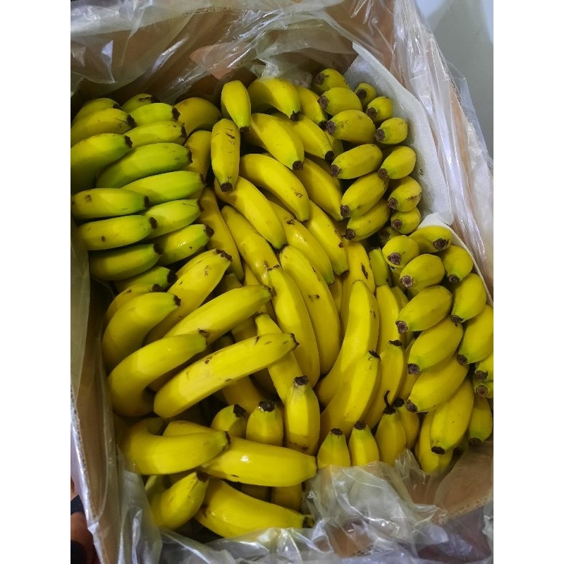 

Pisang Sunpride Bijian/Gandengan 1 box